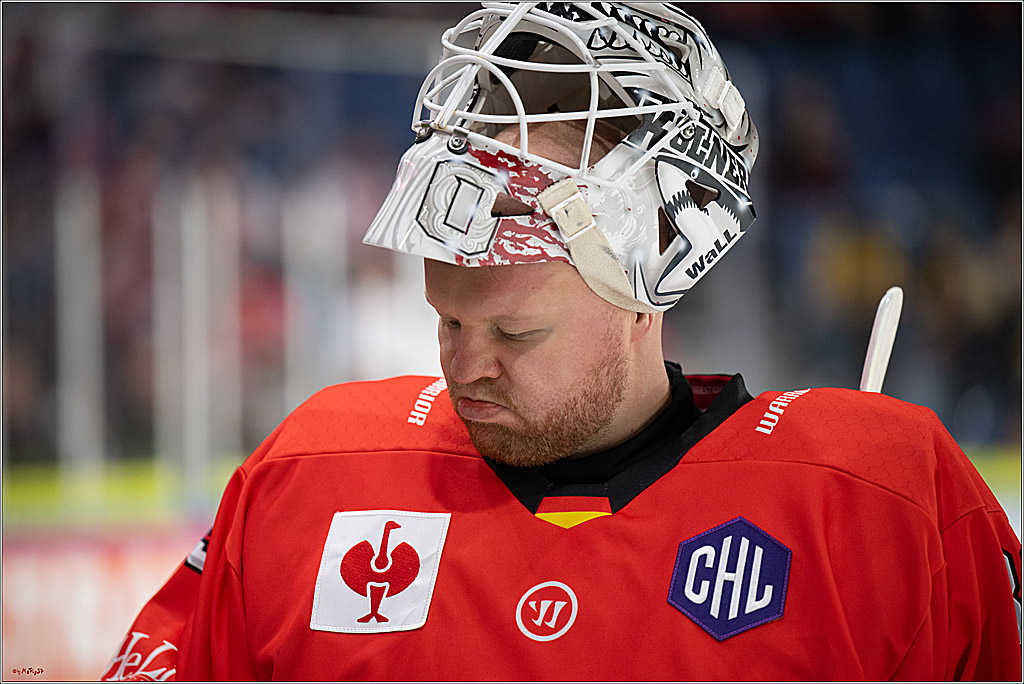 CHL Vorrunde; Kölner Haie - KAC Klagenfurt; Krefeld, 12.09.2026