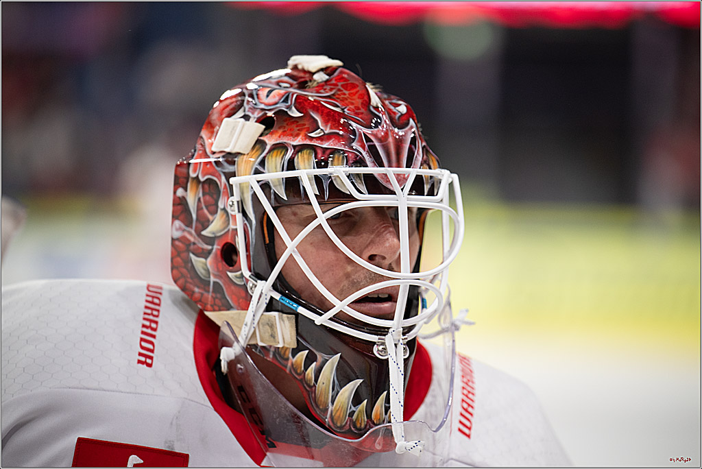 CHL Vorrunde; Kölner Haie - KAC Klagenfurt; Krefeld, 12.09.2026
