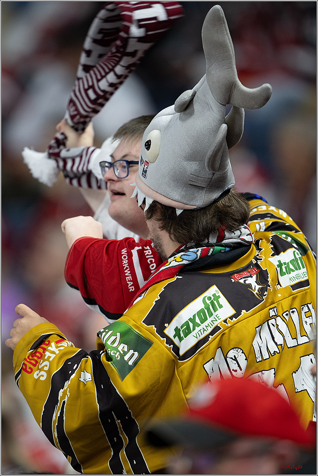 PENNY DEL 1; Kölner Haie - Grizzly Wolfsburg; Köln, 18.09.2026