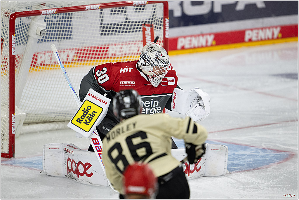 PENNY DEL 1; Kölner Haie - Grizzly Wolfsburg; Köln, 18.09.2026