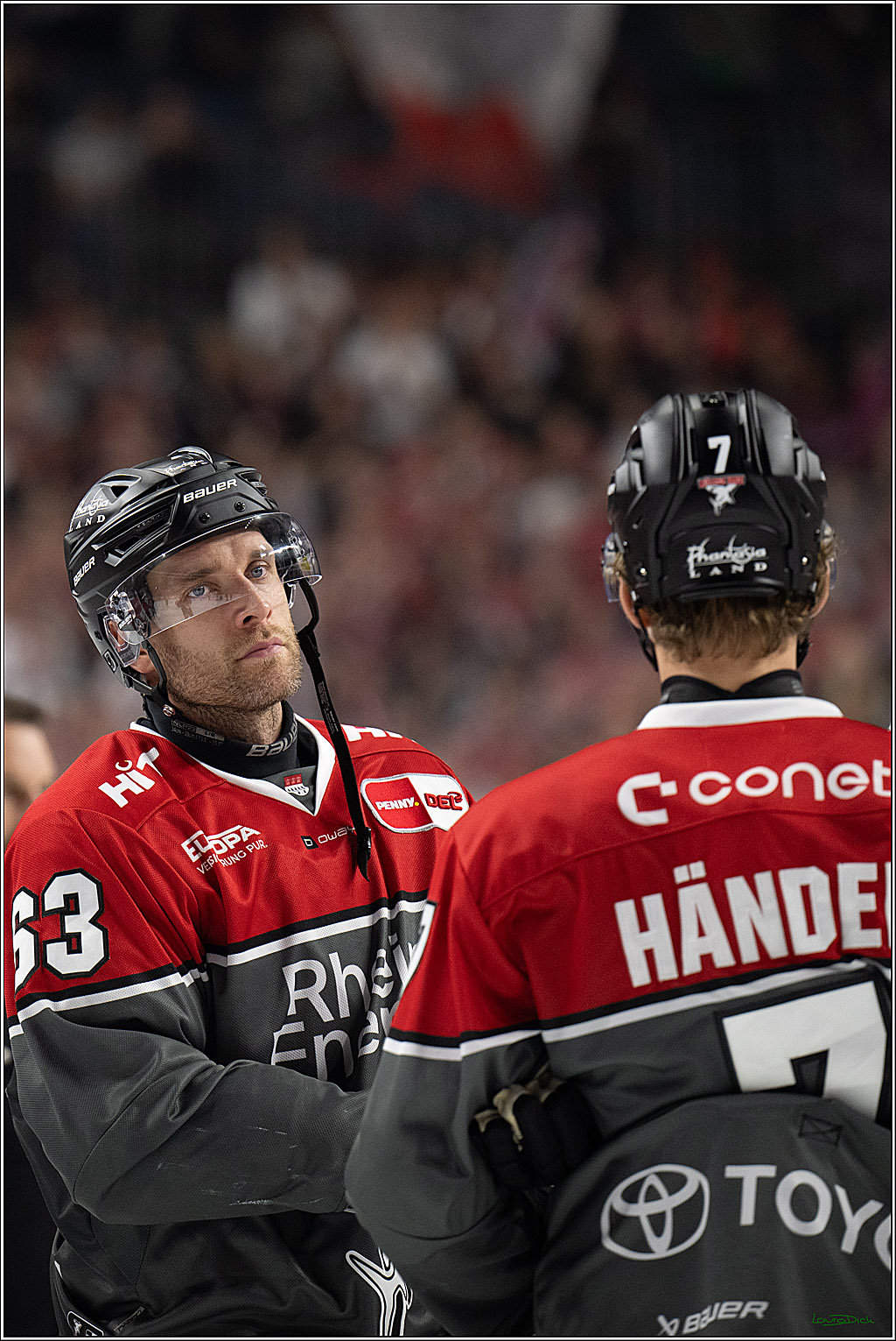 PENNY DEL 1; Kölner Haie - Grizzly Wolfsburg; Köln, 18.09.2026