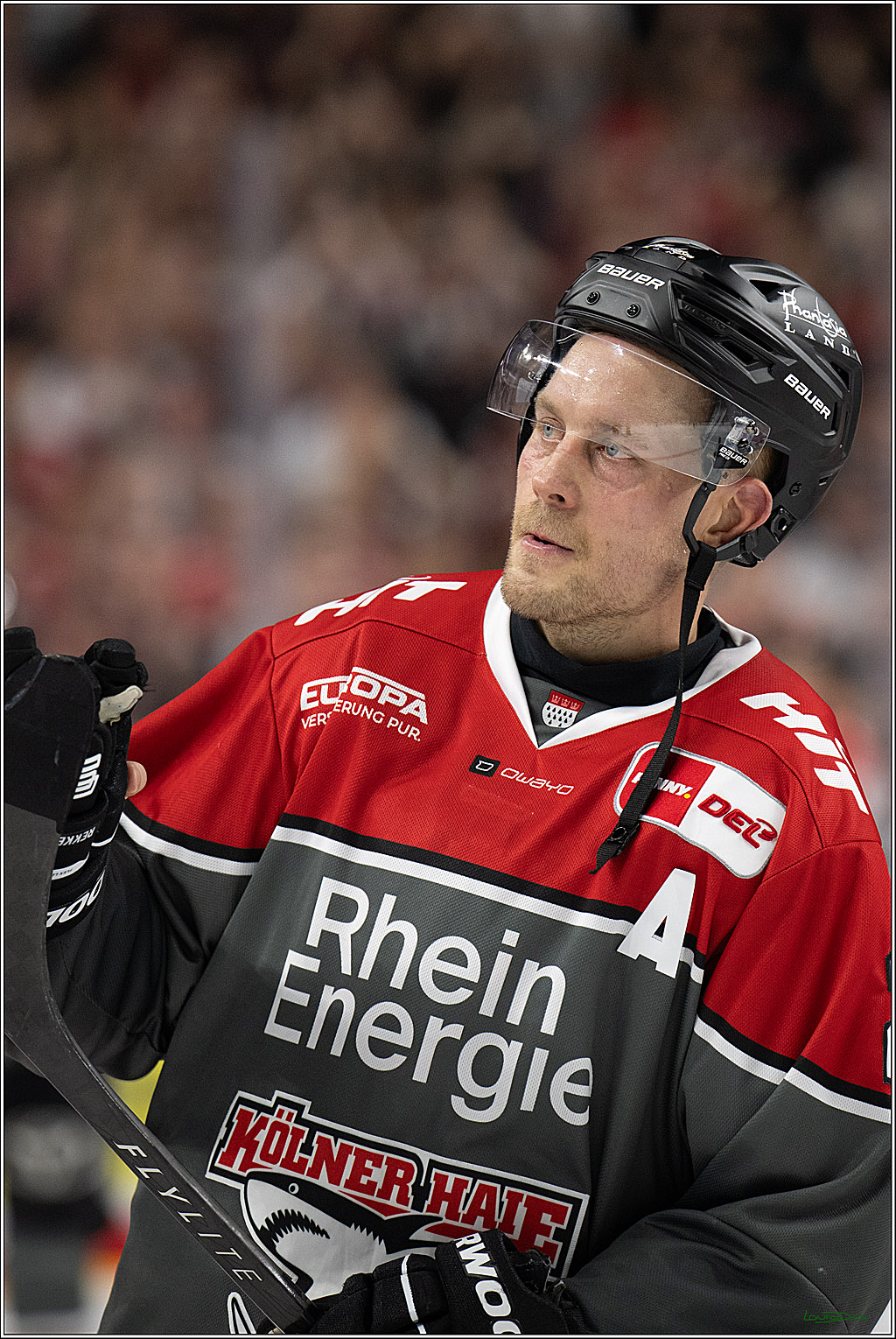 PENNY DEL 1; Kölner Haie - Grizzly Wolfsburg; Köln, 18.09.2026