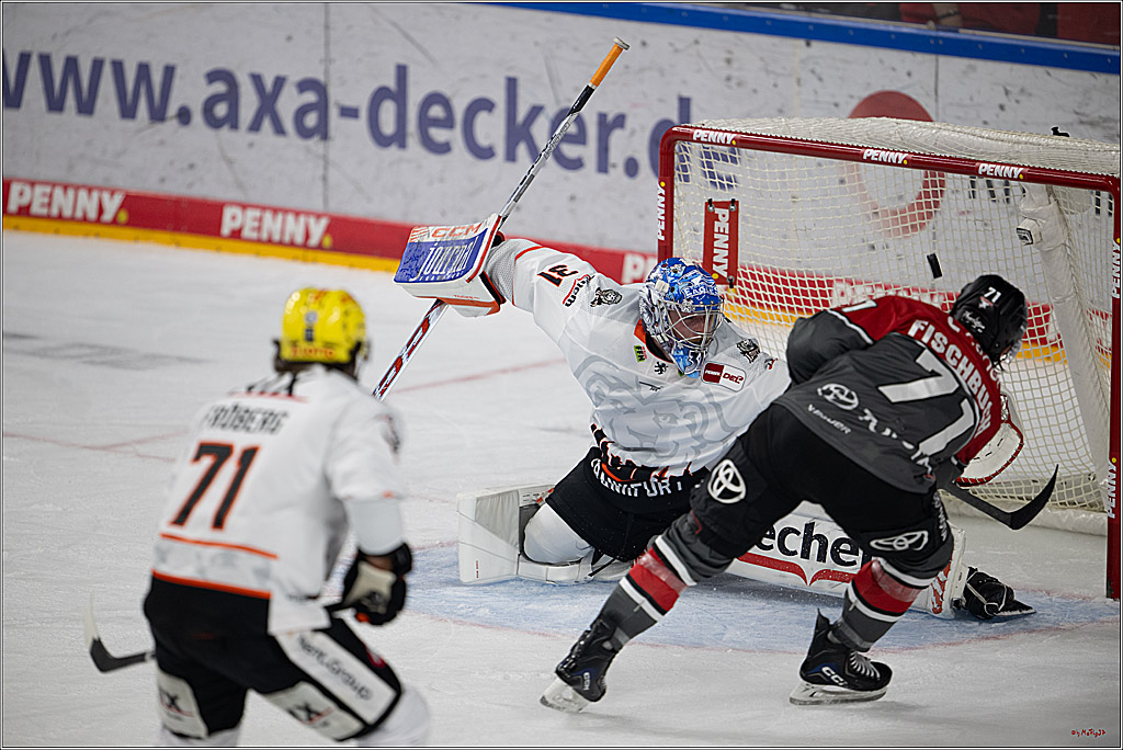 PENNY DEL 1; Kölner Haie - Löwen Frankfurt; Köln, 20.09.2026