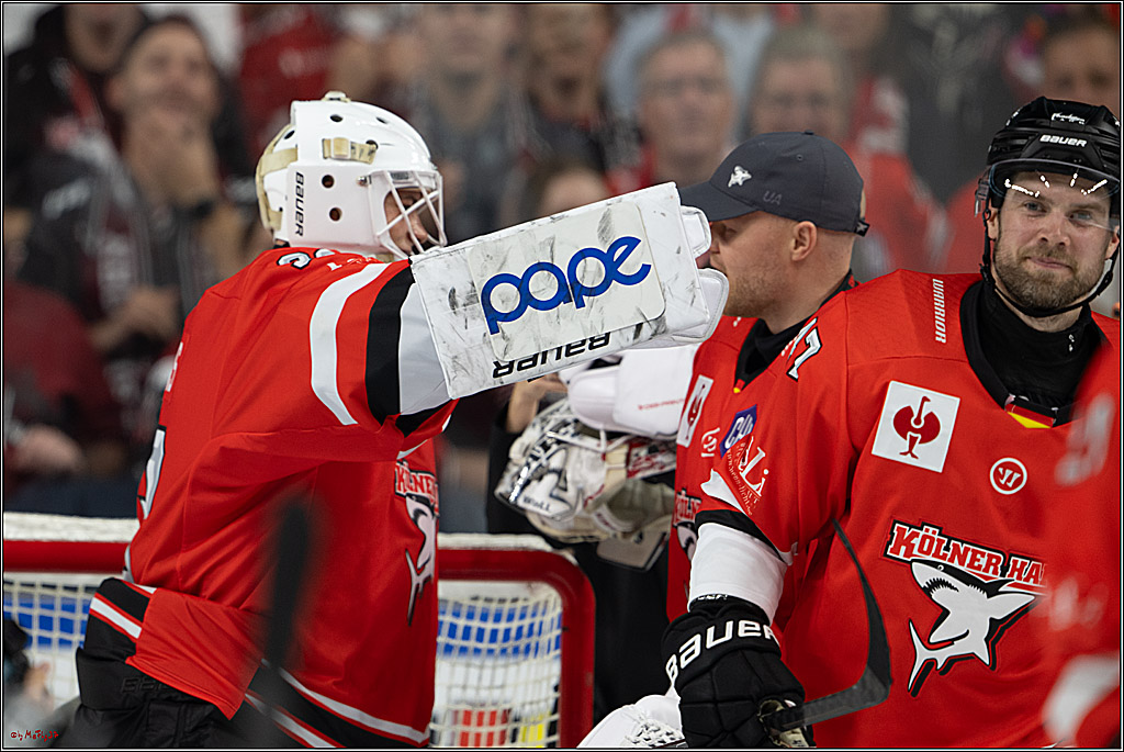 CHL; Kölner Haie - Herning Blue Fox; Köln, 07.10.2026