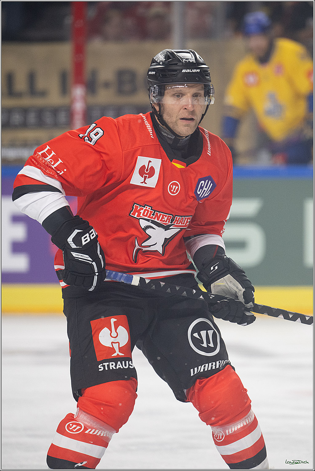 CHL; Kölner Haie - Herning Blue Fox ; Köln, 07.10.2026