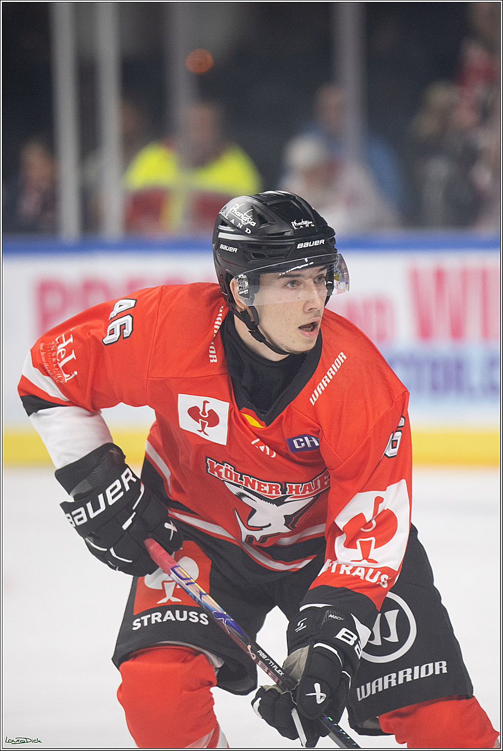 CHL; Kölner Haie - Herning Blue Fox ; Köln, 07.10.2026