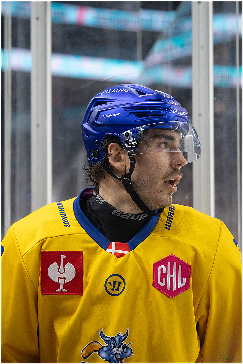 CHL; Kölner Haie - Herning Blue Fox ; Köln, 07.10.2026