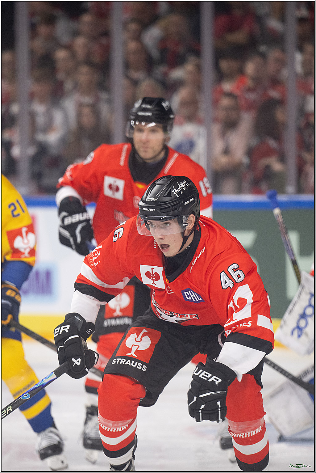 CHL; Kölner Haie - Herning Blue Fox ; Köln, 07.10.2026