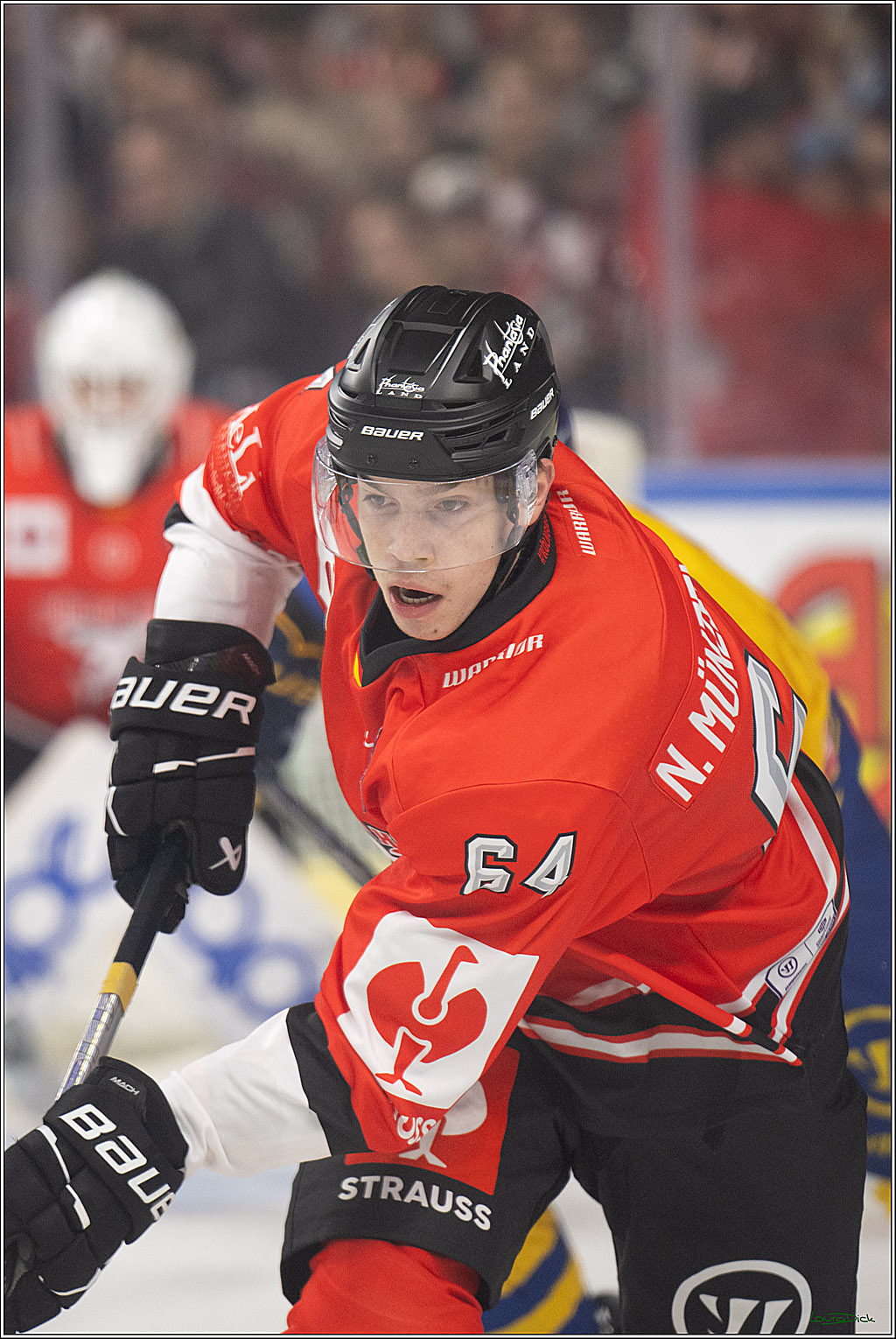CHL; Kölner Haie - Herning Blue Fox ; Köln, 07.10.2026