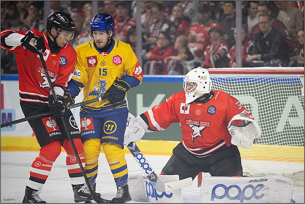 CHL; Kölner Haie - Herning Blue Fox ; Köln, 07.10.2026