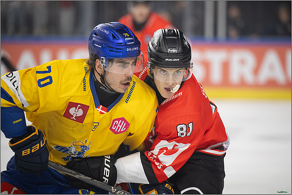 CHL; Kölner Haie - Herning Blue Fox ; Köln, 07.10.2026