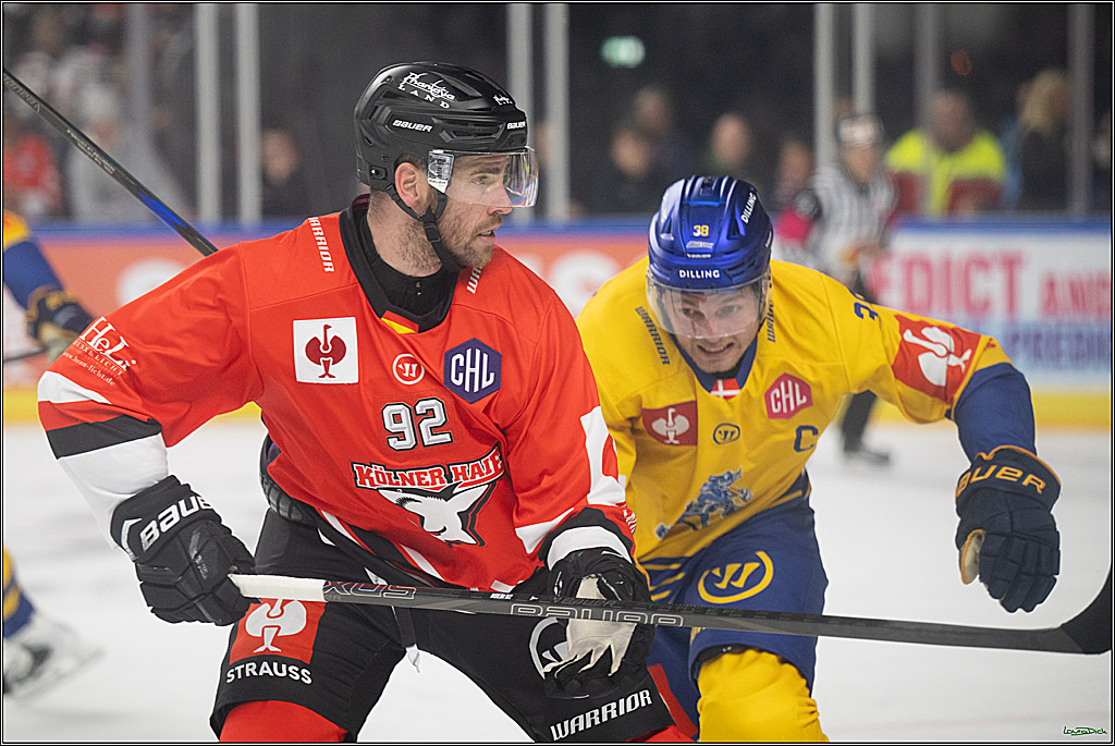 CHL; Kölner Haie - Herning Blue Fox ; Köln, 07.10.2026