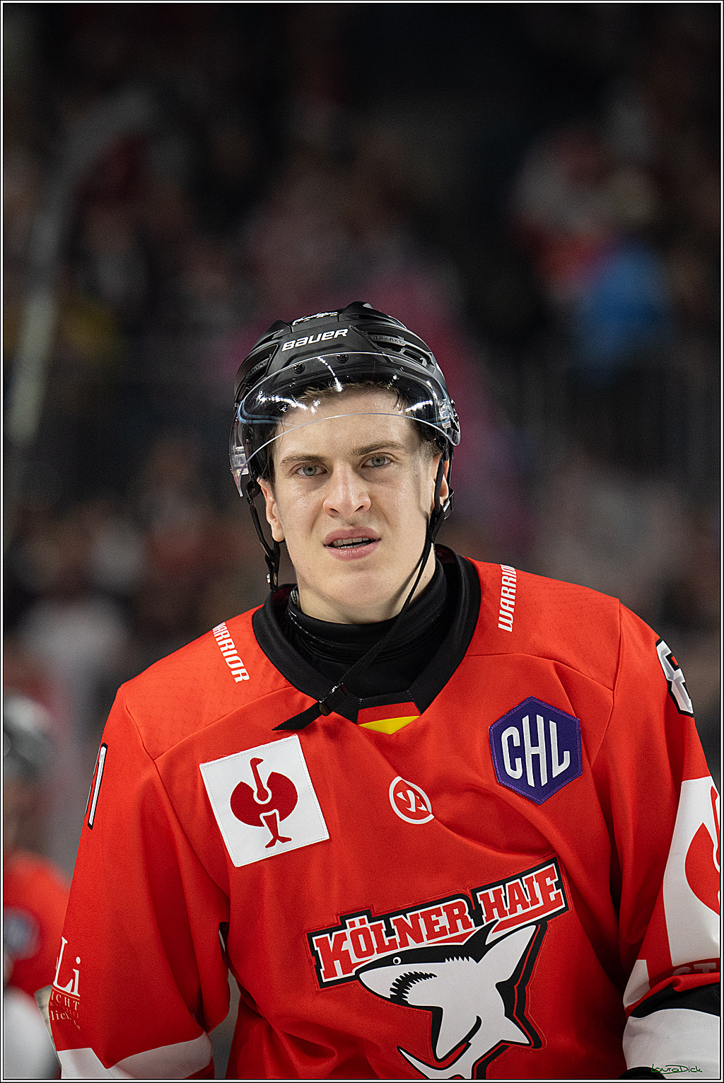 CHL; Kölner Haie - Herning Blue Fox ; Köln, 07.10.2026