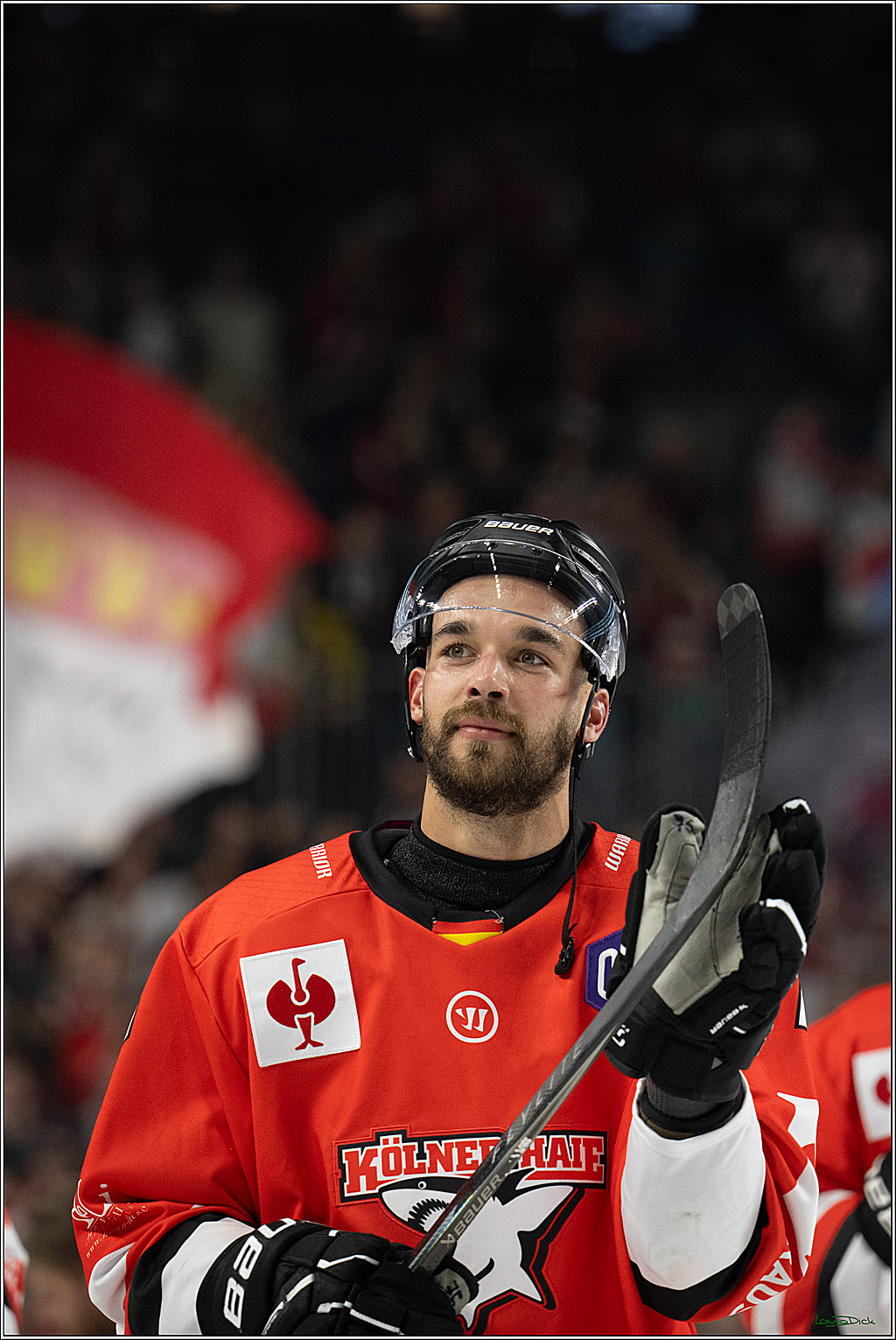 CHL; Kölner Haie - Herning Blue Fox ; Köln, 07.10.2026