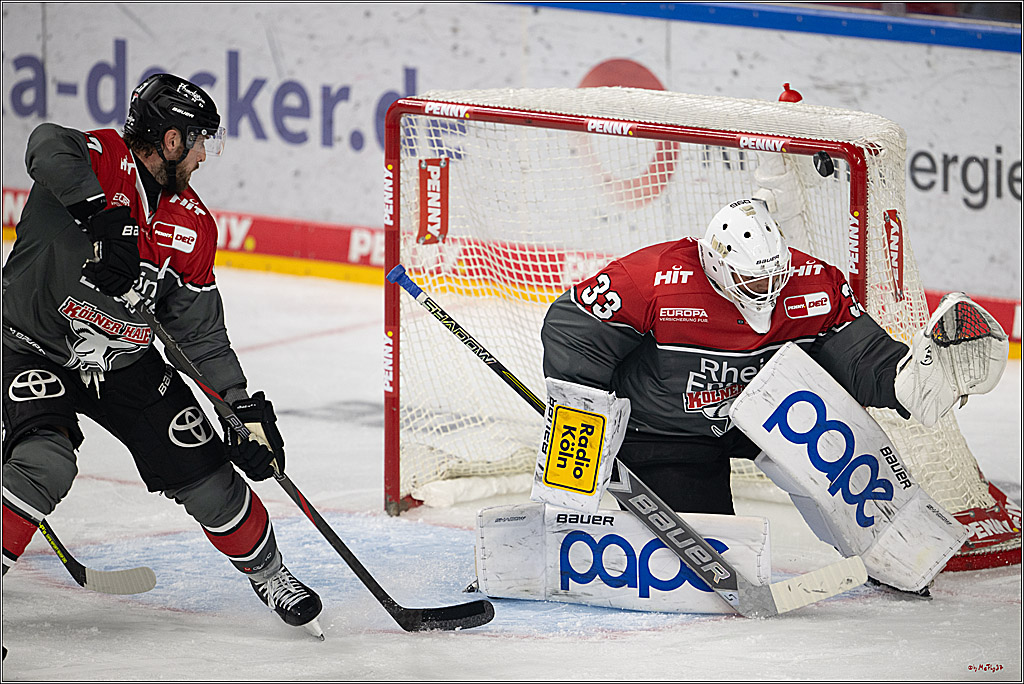 PENNY DEL 1; Kölner Haie - Schwenninger Wild Wings; Köln, 09.10.2026