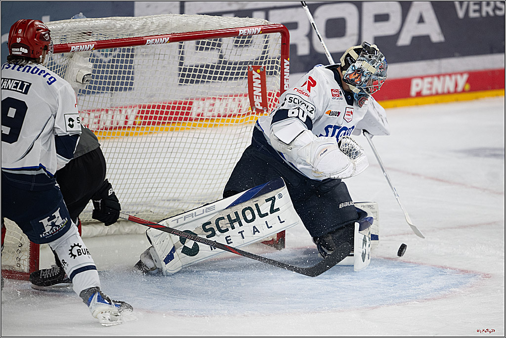 PENNY DEL 1; Kölner Haie - Schwenninger Wild Wings; Köln, 09.10.2026