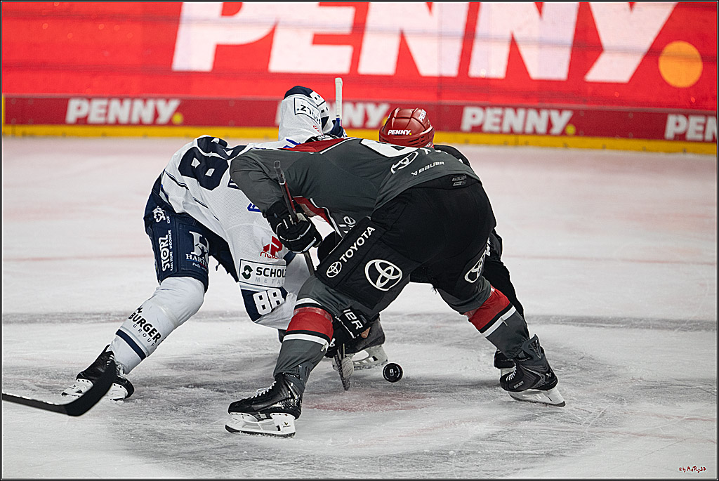 PENNY DEL 1; Kölner Haie - Schwenninger Wild Wings; Köln, 09.10.2026