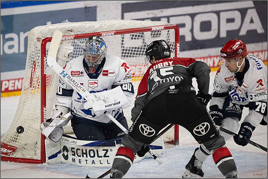 PENNY DEL 1; Kölner Haie - Schwenninger Wild Wings; Köln, 09.10.2026