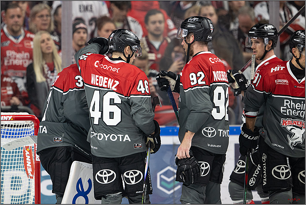 PENNY DEL 1; Kölner Haie - Schwenninger Wild Wings; Köln, 09.10.2026
