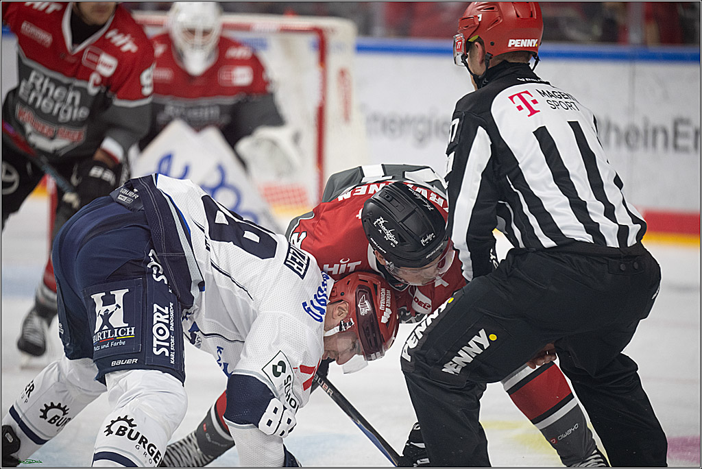 PENNY DEL 1; Kölner Haie - Schwenninger Wild Wings; Köln, 09.10.2026