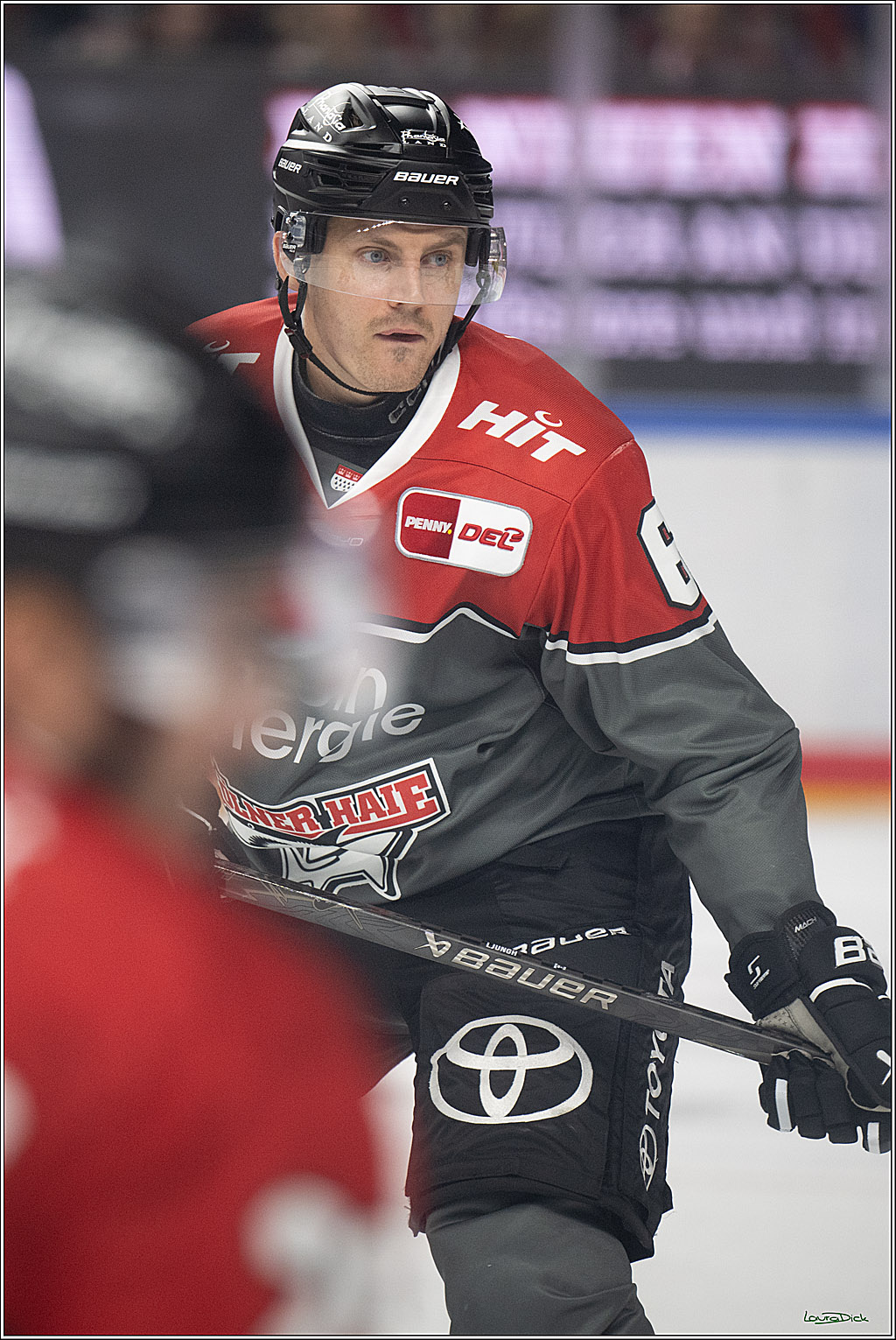 PENNY DEL 1; Kölner Haie - Schwenninger Wild Wings; Köln, 09.10.2026