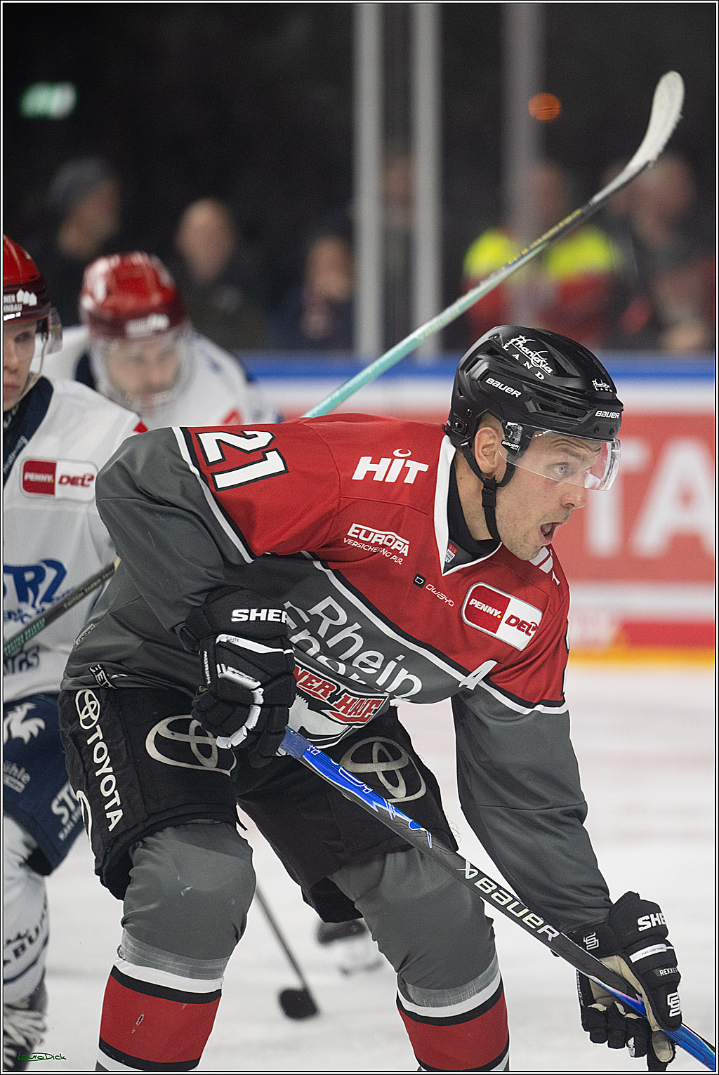 PENNY DEL 1; Kölner Haie - Schwenninger Wild Wings; Köln, 09.10.2026