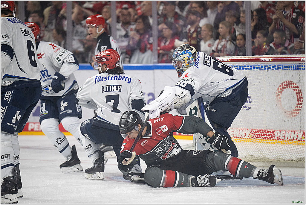 PENNY DEL 1; Kölner Haie - Schwenninger Wild Wings; Köln, 09.10.2026