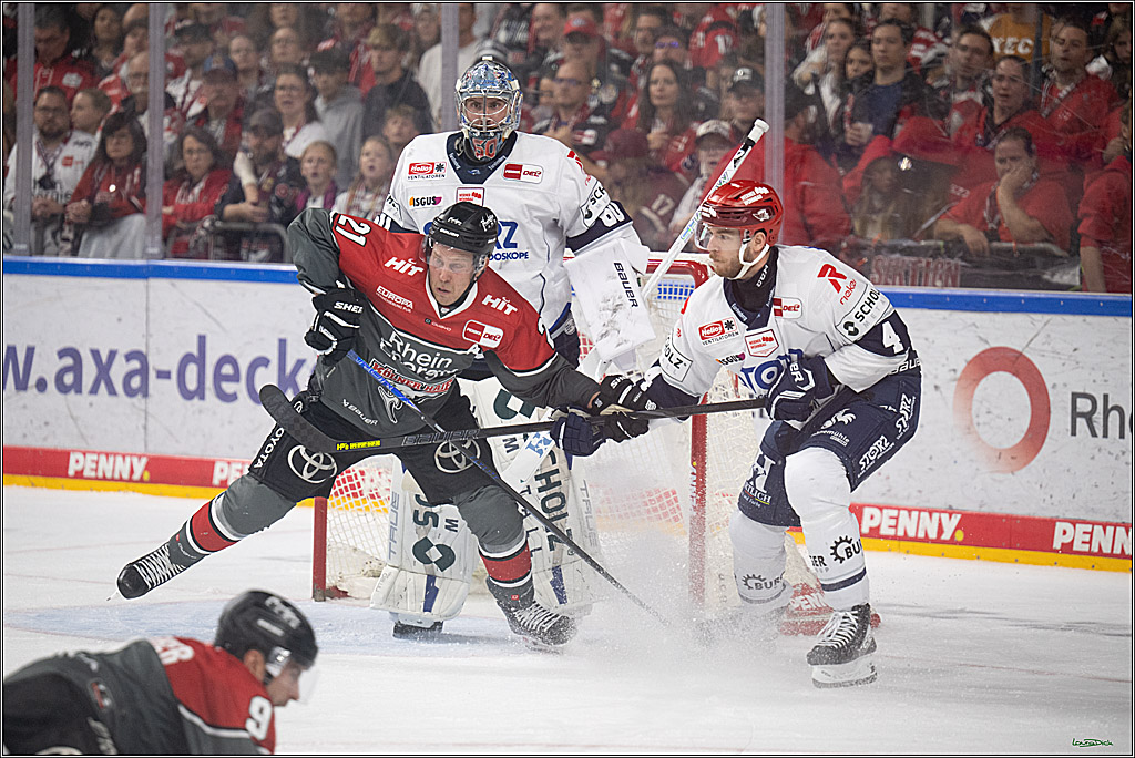 PENNY DEL 1; Kölner Haie - Schwenninger Wild Wings; Köln, 09.10.2026