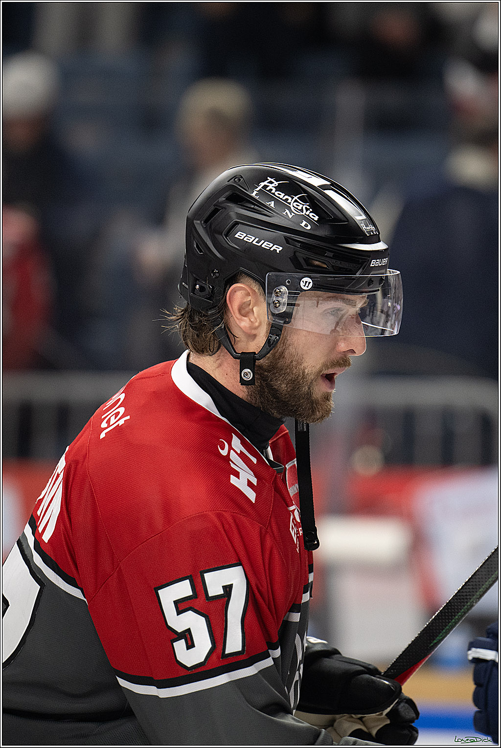PENNY DEL 1; Kölner Haie - Schwenninger Wild Wings; Köln, 09.10.2026