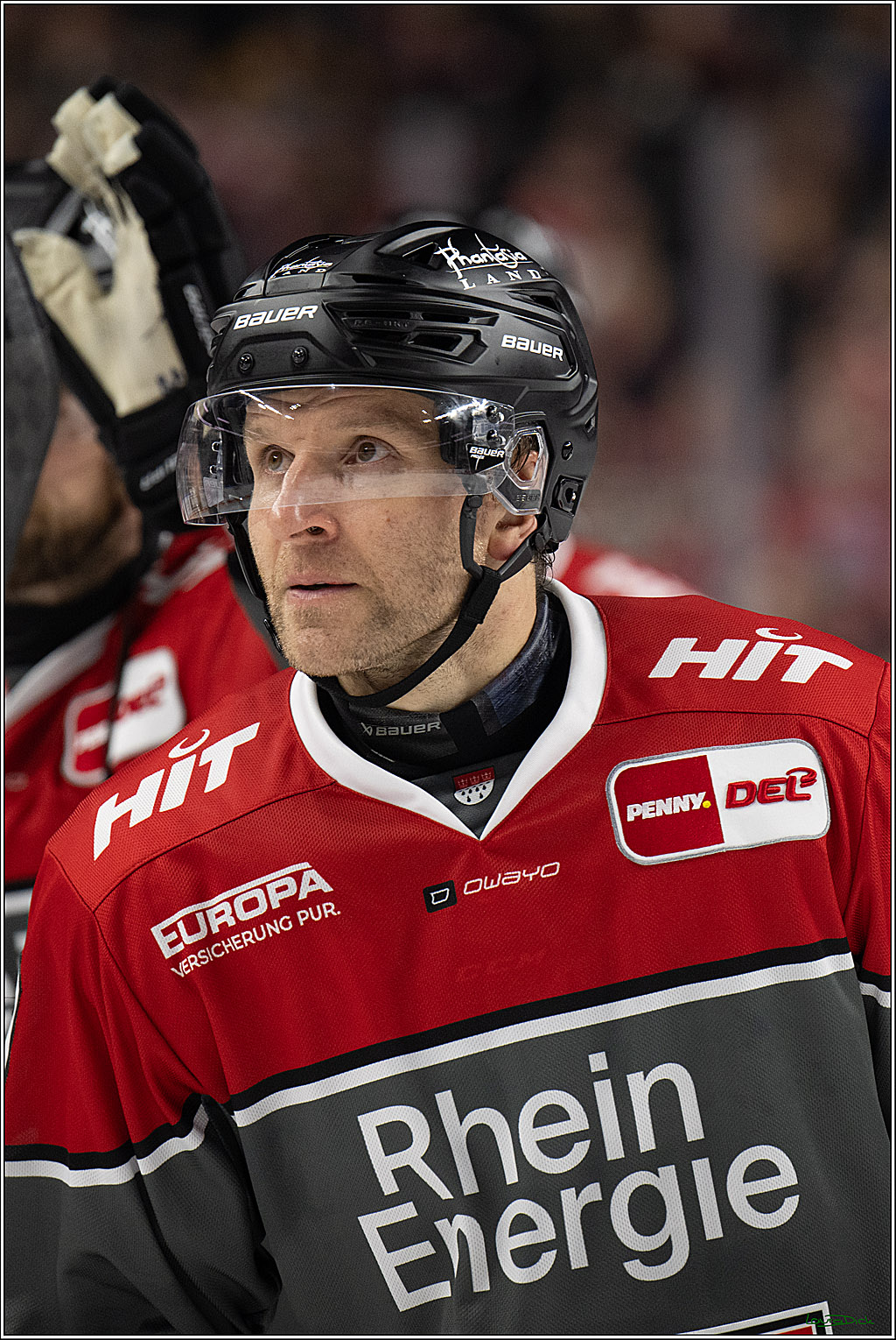 PENNY DEL 1; Kölner Haie - Schwenninger Wild Wings; Köln, 09.10.2026