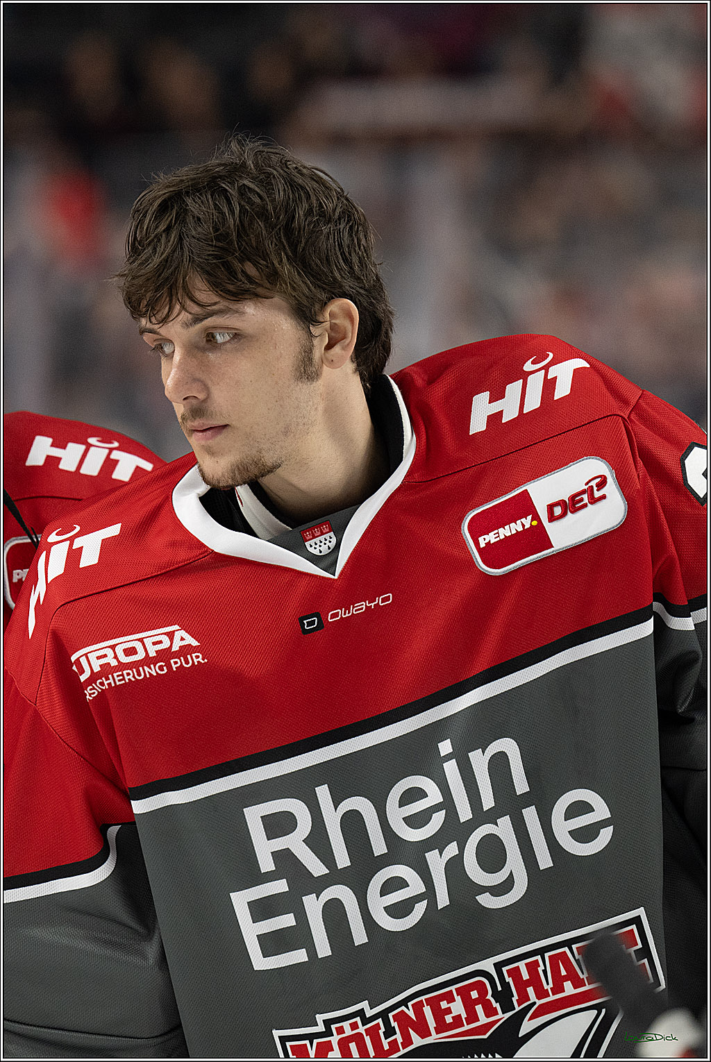 PENNY DEL 1; Kölner Haie - Schwenninger Wild Wings; Köln, 09.10.2026