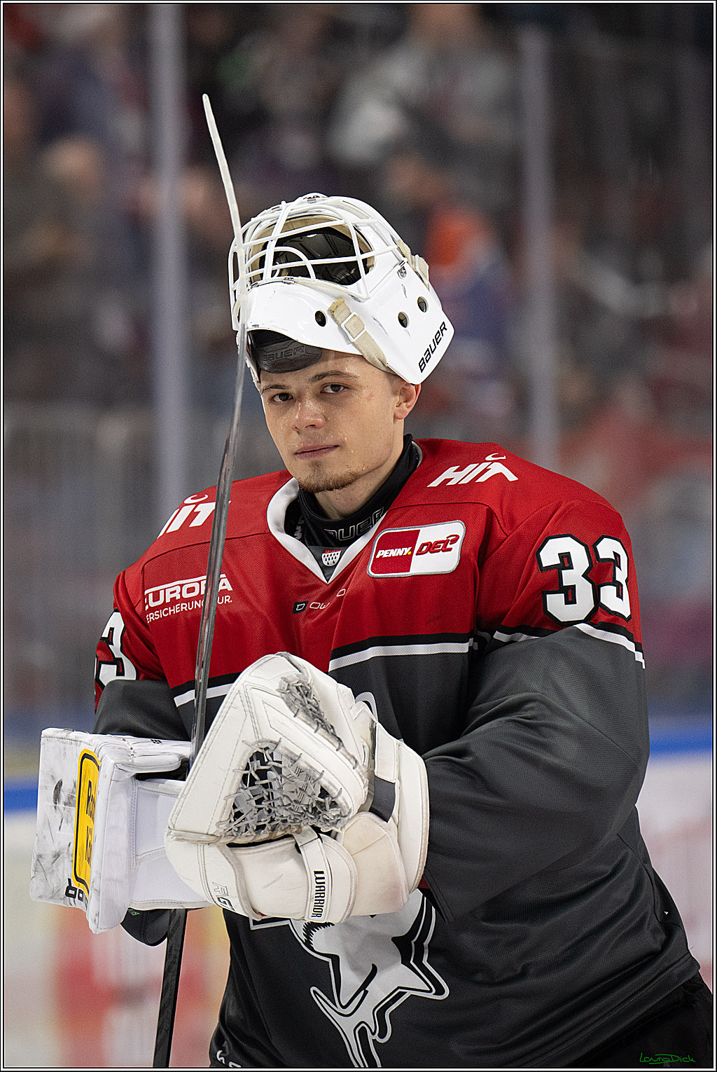 PENNY DEL 1; Kölner Haie - Schwenninger Wild Wings; Köln, 09.10.2026