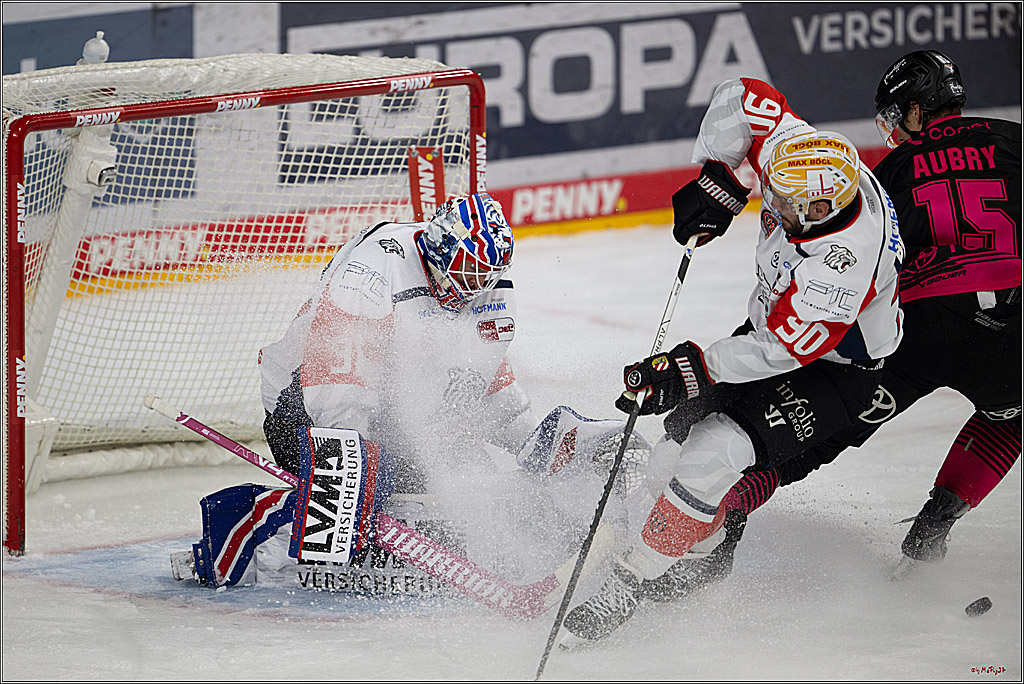 PENNY DEL 1; Kölner Haie - Nürnberg Ice Tigers; Köln, 11.10.2026