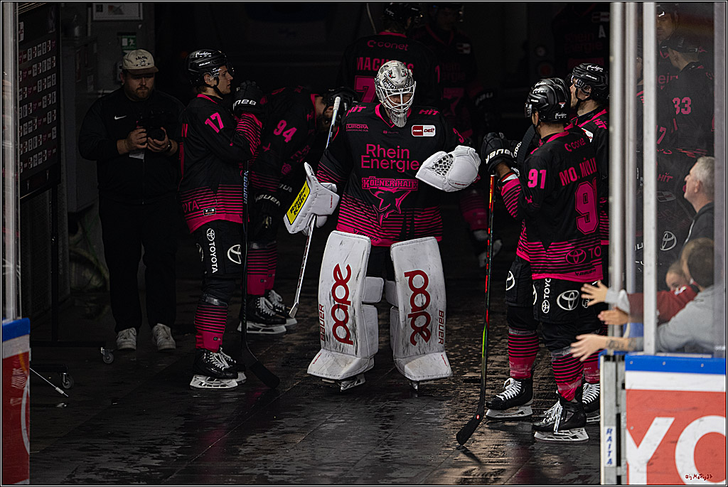 PENNY DEL 1; Kölner Haie - Nürnberg Ice Tigers; Köln, 11.10.2026