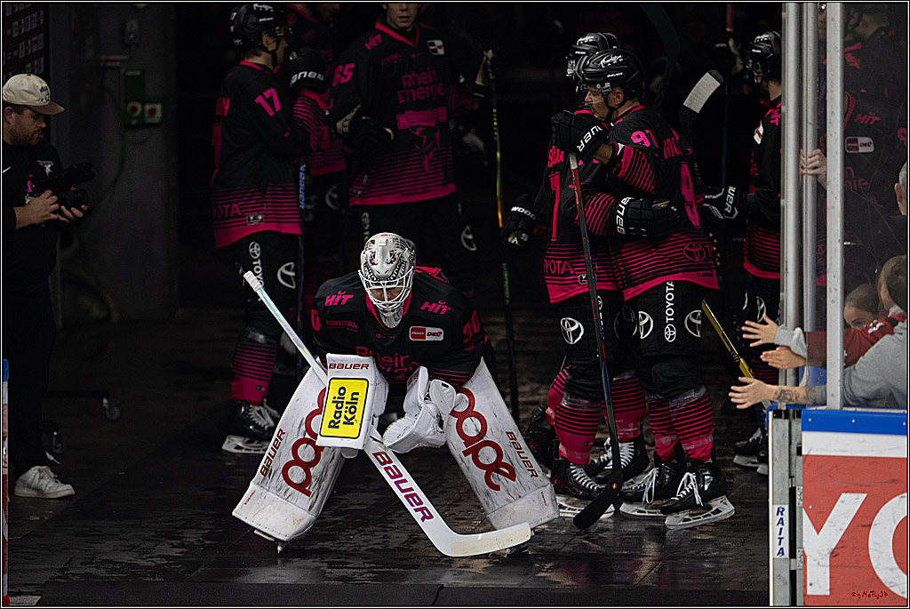 PENNY DEL 1; Kölner Haie - Nürnberg Ice Tigers; Köln, 11.10.2026
