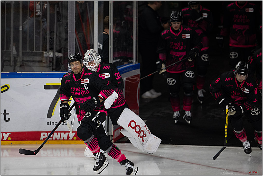 PENNY DEL 1; Kölner Haie - Nürnberg Ice Tigers; Köln, 11.10.2026