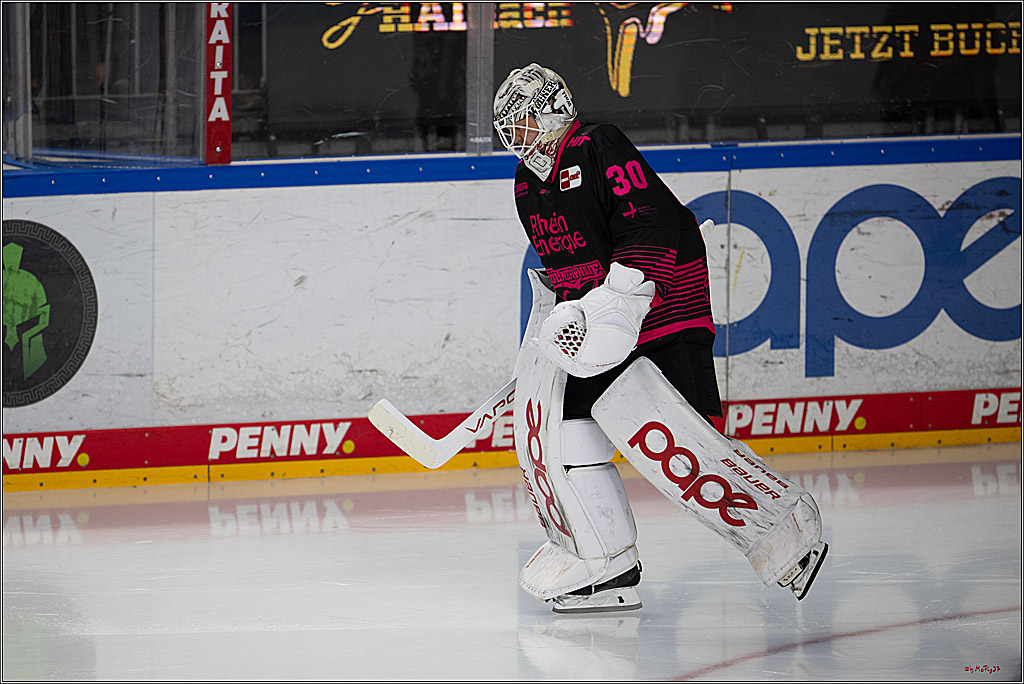 PENNY DEL 1; Kölner Haie - Nürnberg Ice Tigers; Köln, 11.10.2026