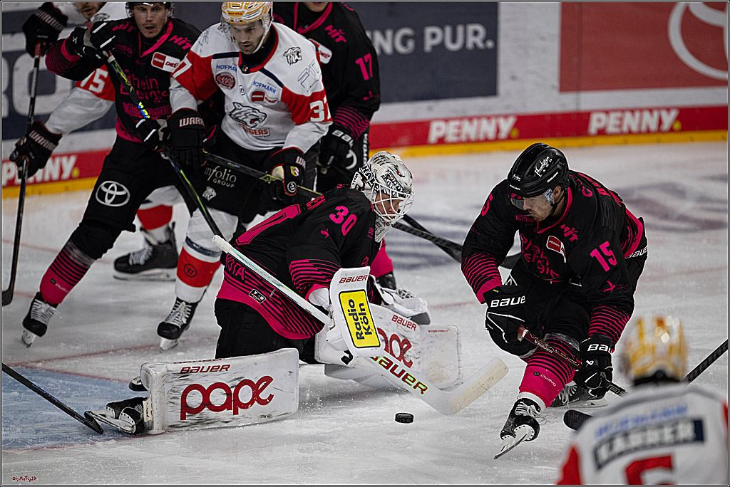 PENNY DEL 1; Kölner Haie - Nürnberg Ice Tigers; Köln, 11.10.2026