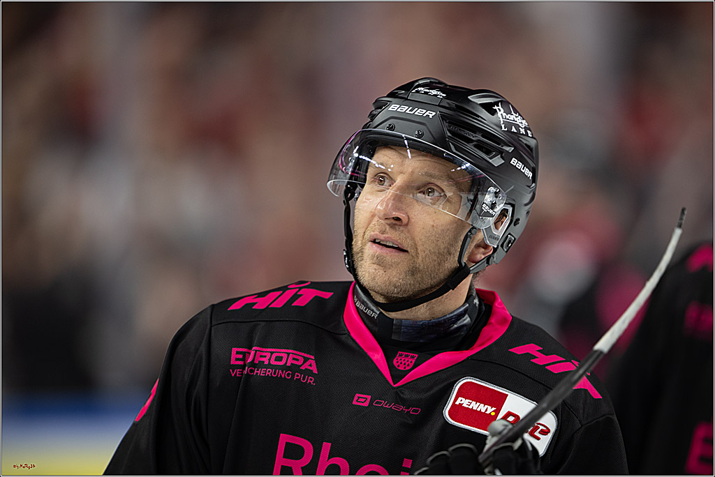 PENNY DEL 1; Kölner Haie - Nürnberg Ice Tigers; Köln, 11.10.2026