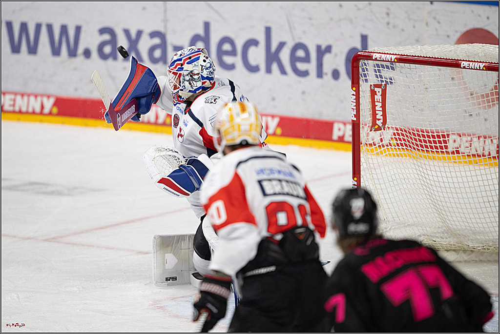 PENNY DEL 1; Kölner Haie - Nürnberg Ice Tigers; Köln, 11.10.2026