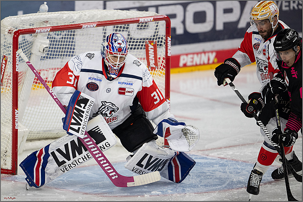 PENNY DEL 1; Kölner Haie - Nürnberg Ice Tigers; Köln, 11.10.2026