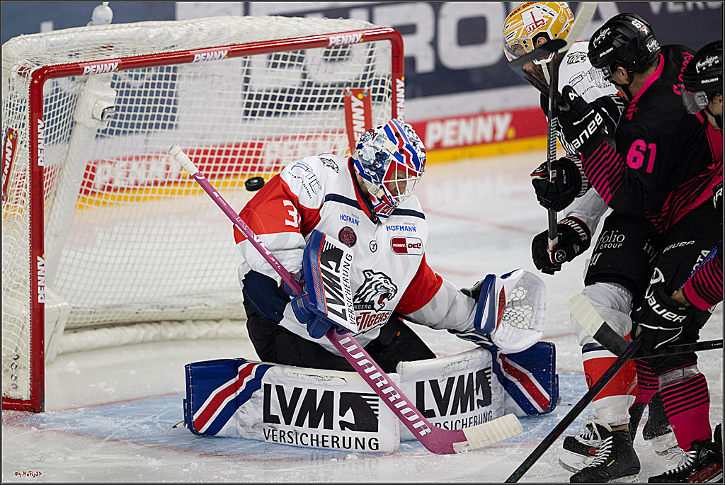 PENNY DEL 1; Kölner Haie - Nürnberg Ice Tigers; Köln, 11.10.2026