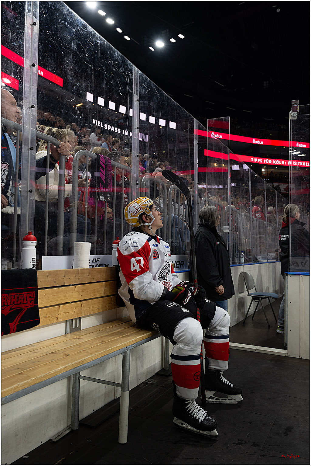 PENNY DEL 1; Kölner Haie - Nürnberg Ice Tigers; Köln, 11.10.2026