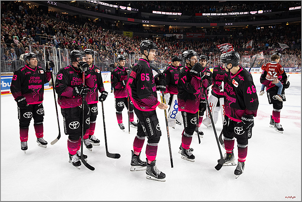 PENNY DEL 1; Kölner Haie - Nürnberg Ice Tigers; Köln, 11.10.2026