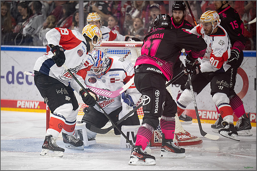 PENNY DEL 1; Kölner Haie - Nürnberg Ice Tigers; Köln, 11.10.2026
