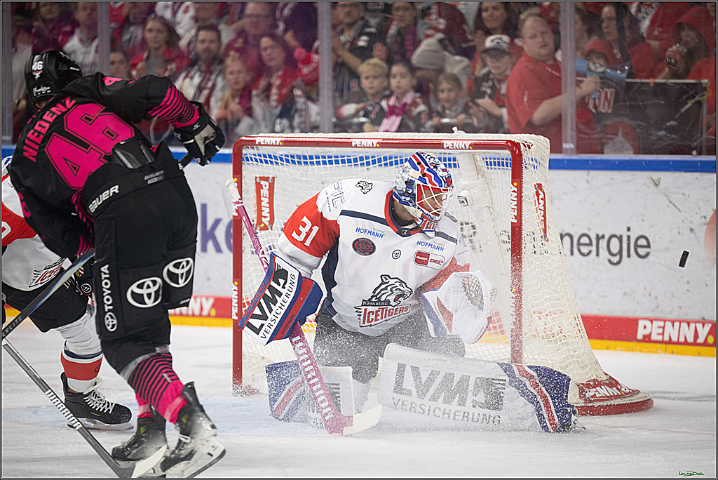 PENNY DEL 1; Kölner Haie - Nürnberg Ice Tigers; Köln, 11.10.2026