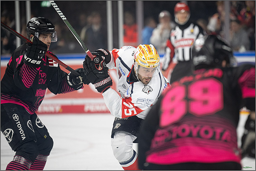 PENNY DEL 1; Kölner Haie - Nürnberg Ice Tigers; Köln, 11.10.2026