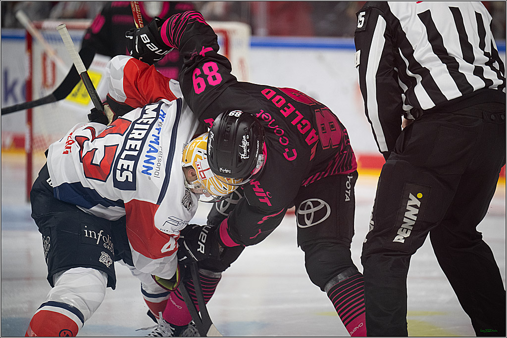 PENNY DEL 1; Kölner Haie - Nürnberg Ice Tigers; Köln, 11.10.2026