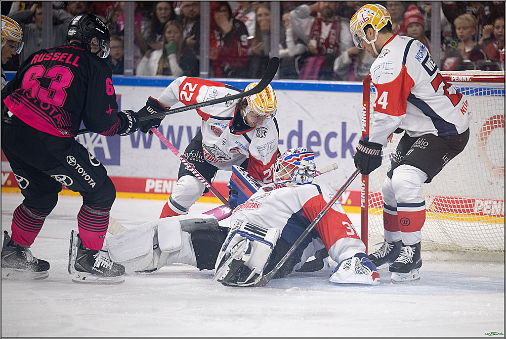 PENNY DEL 1; Kölner Haie - Nürnberg Ice Tigers; Köln, 11.10.2026