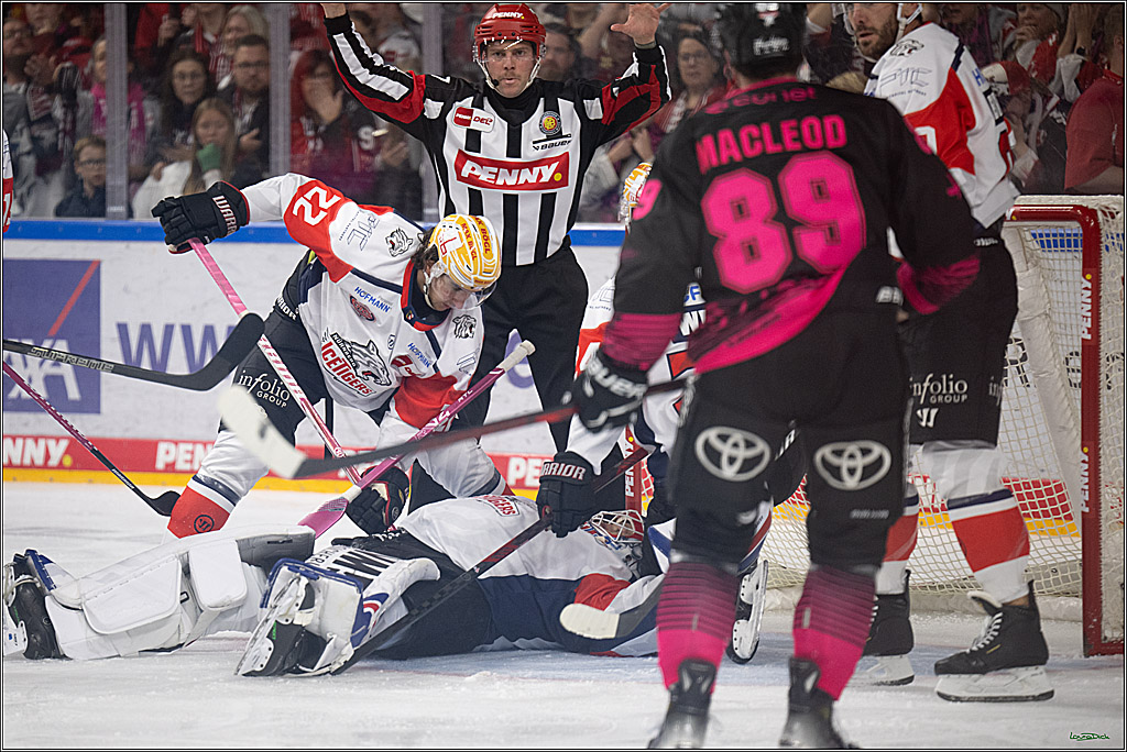 PENNY DEL 1; Kölner Haie - Nürnberg Ice Tigers; Köln, 11.10.2026